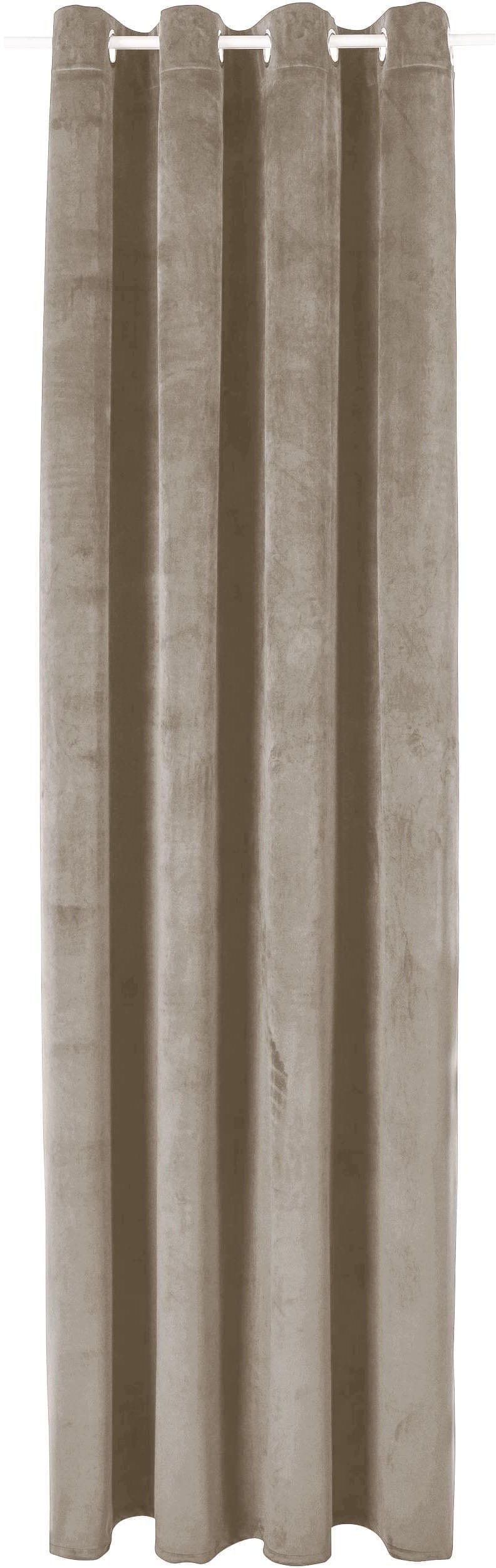 Image of Bruno Banani Vorhang »Leroy«, (1 St.), Samt, blickdicht, monochrom, verschiedene Grössen bei Ackermann Versand Schweiz