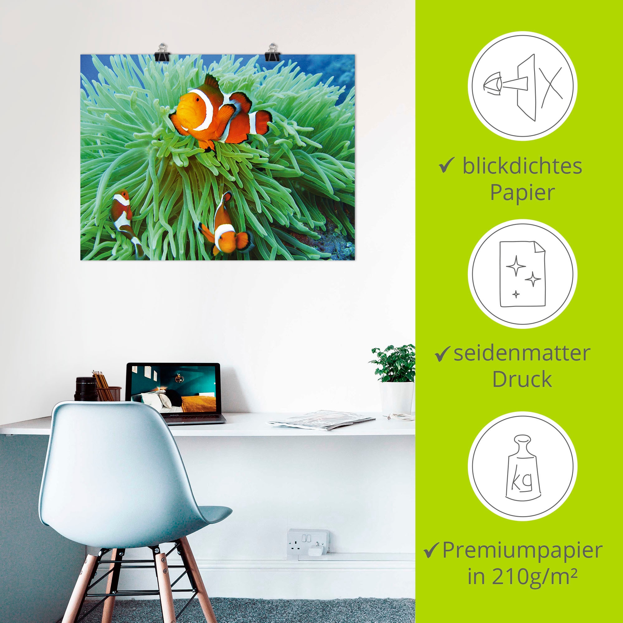 Artland Poster »Finde Nemo« Wassertiere 1 Stk. tlg. als Poster, Wandaufkleber in verschied. Grössen
