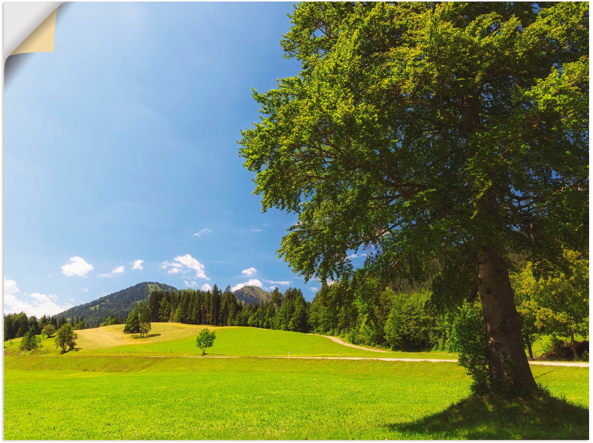 Image of Artland Wandbild »Bayrische Landschaft«, Wiesen & Bäume, (1 St.), in vielen Grössen & Produktarten -Leinwandbild, Poster, Wandaufkleber / Wandtattoo auch für Badezimmer geeignet bei Ackermann Versand Schweiz