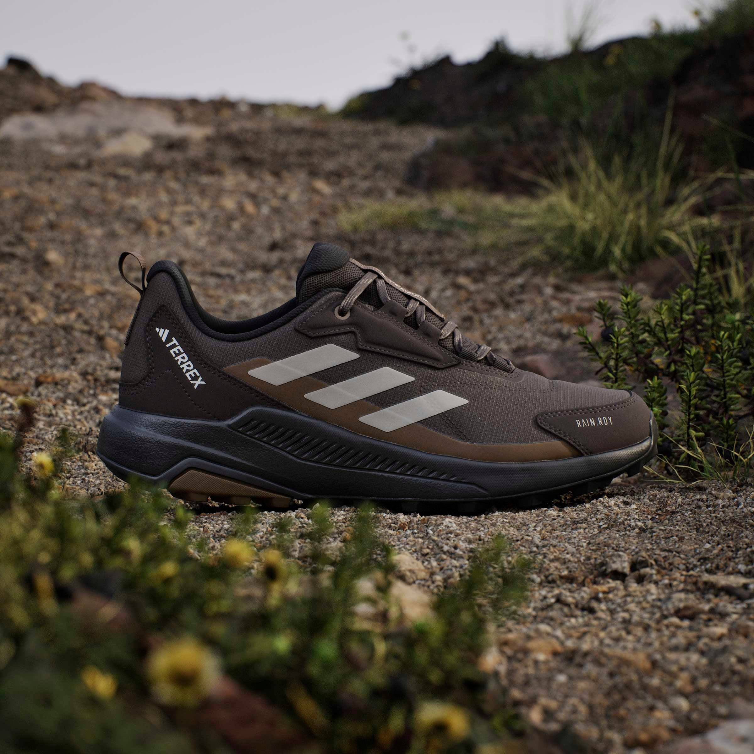 adidas TERREX Chaussure de randonnée »ANYLANDER RAIN.RDY«  étanche
