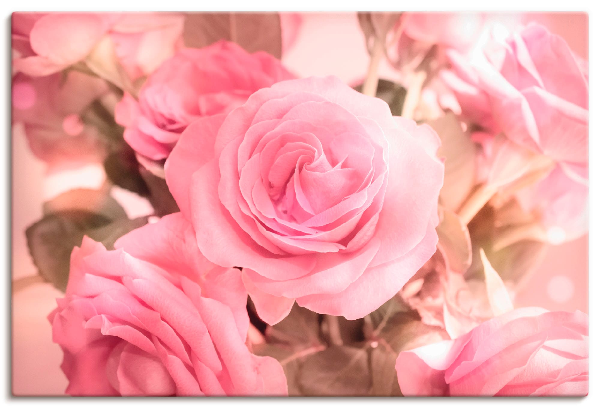 Image of Artland Leinwandbild "Rosarosenbouquet" Blumen 1 Stk. tlg. auf Holzrahmen gespannt