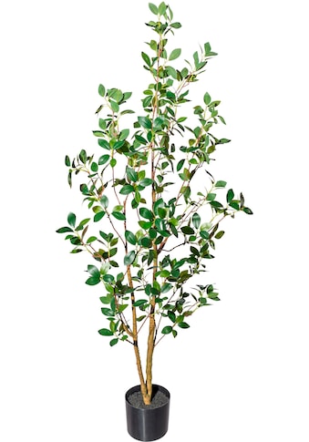 Kunstbaum »Ficus ginseng«