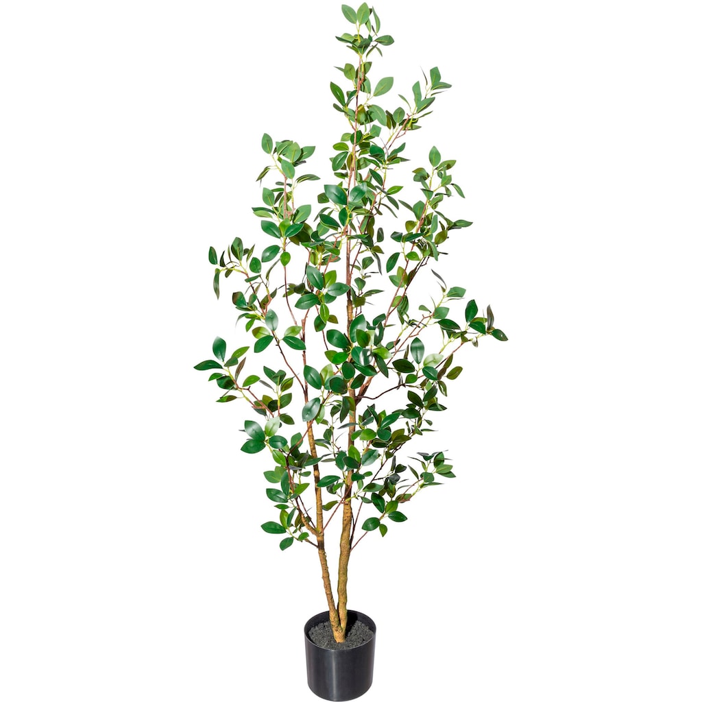 Creativ green Kunstbaum »Ficus ginseng«