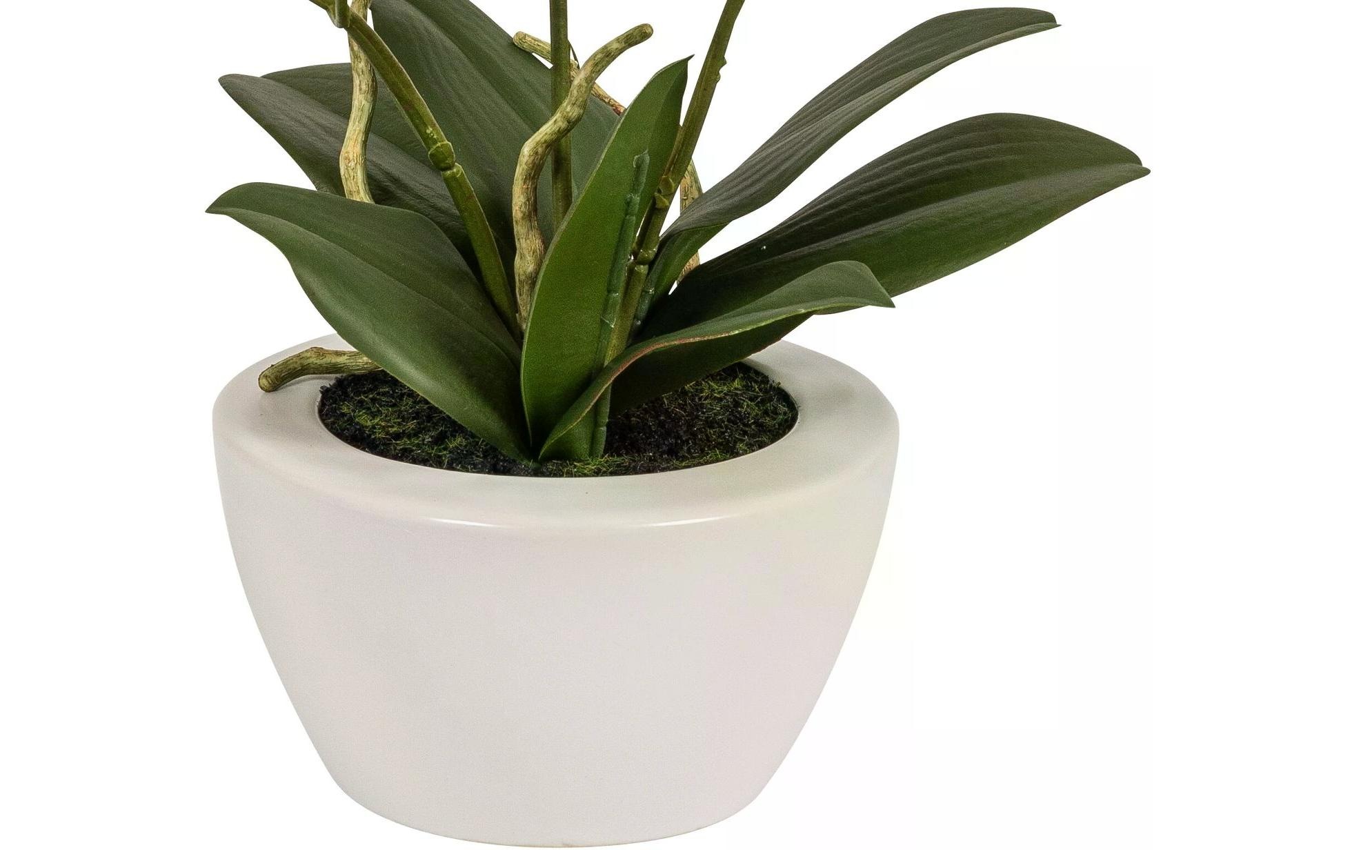 Kunstblume »Dekomat AG Phaleanopsis im Topf 67 cm«