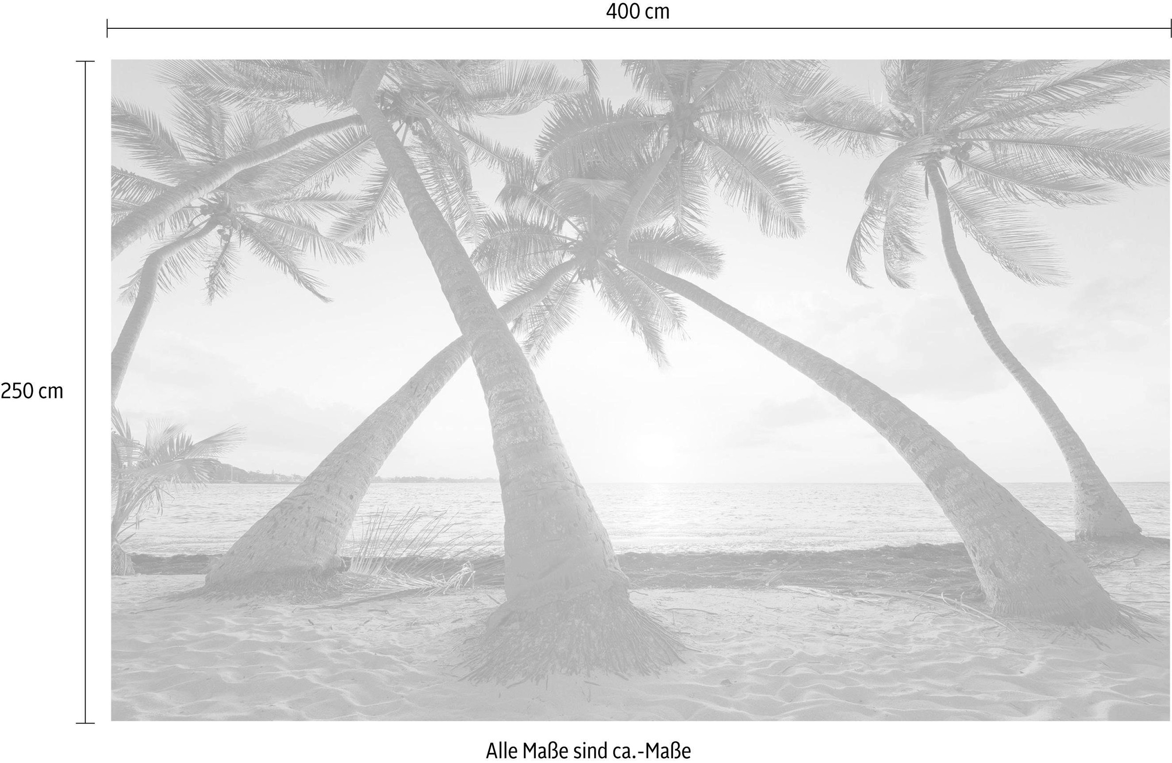 Komar Papier peint intissé »Digitaldruck Vlies -  Reaching the Sun - Grösse 400 x 250 cm« imprimé Wohnzimmer, Schlafzimmer