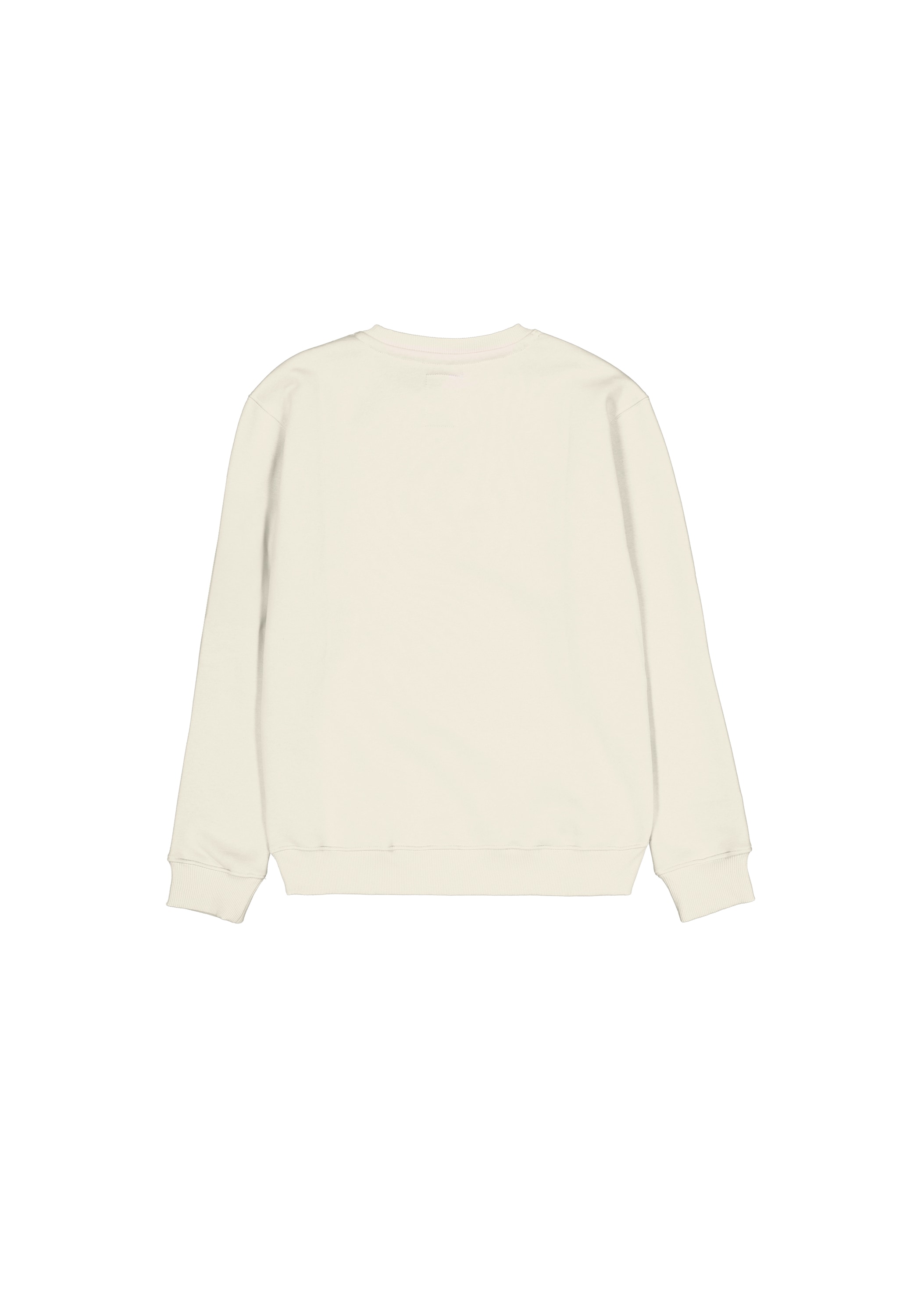 Alpha Industries Sweater »Camo Sleeve Sweatshirt«
