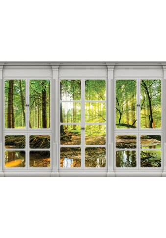 Consalnet Vliestapete »Sonnenwald Fensterblick«, verschiedene Motivgrössen, für das... kaufen