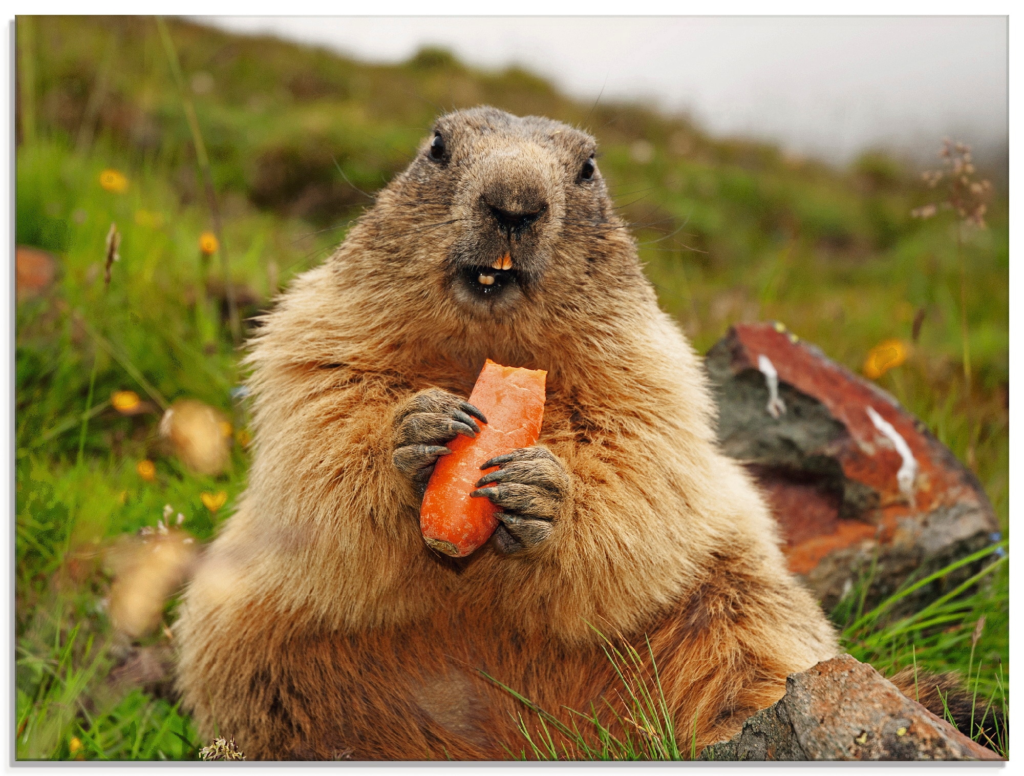 bb832b3ce535ecdbf1739672aa0f6d40?$format_dv_mob_075$