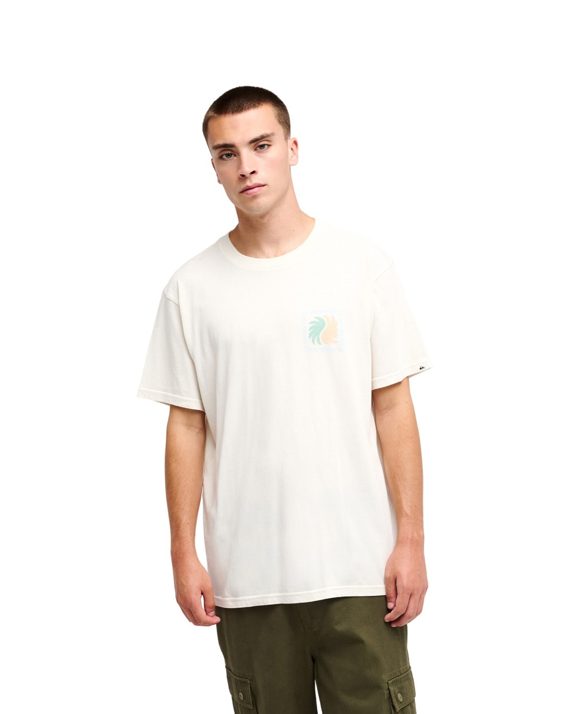 Image of Quiksilver T-Shirt "Evo Vibes"