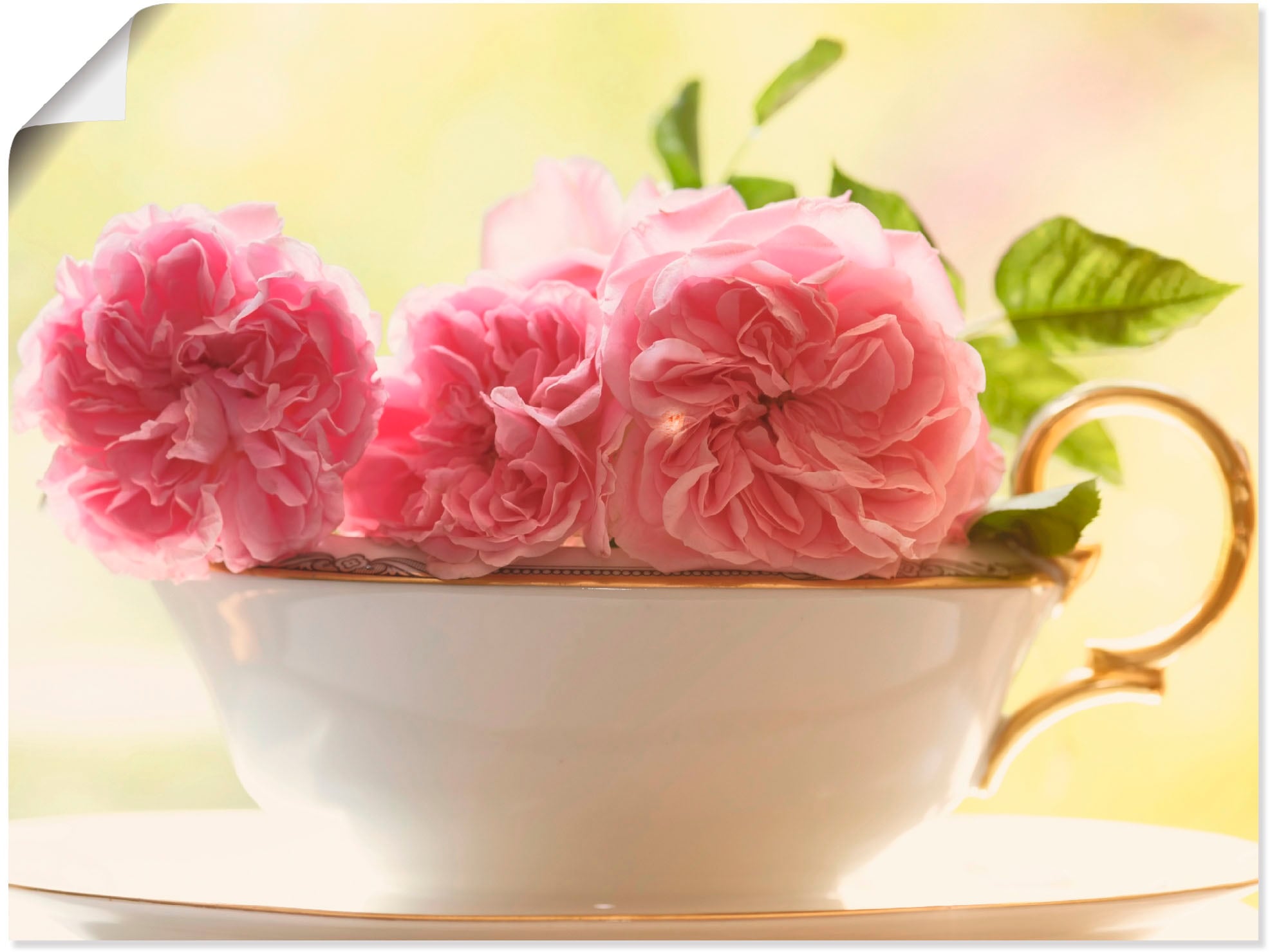 Image of Artland Wandbild "Vintage Rosen" Blumen 1 Stk. tlg. als Leinwandbild, Poster in verschied. Grössen