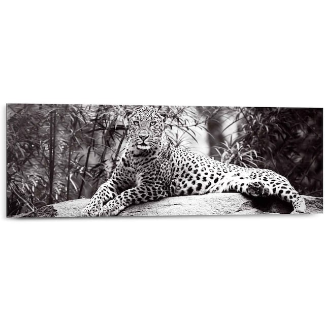 Reinders! Kräftig«, »Wandbild St.) Wandbild - Gefleckt Leopard, liegend Leopard - bequem Entspannen (1 kaufen