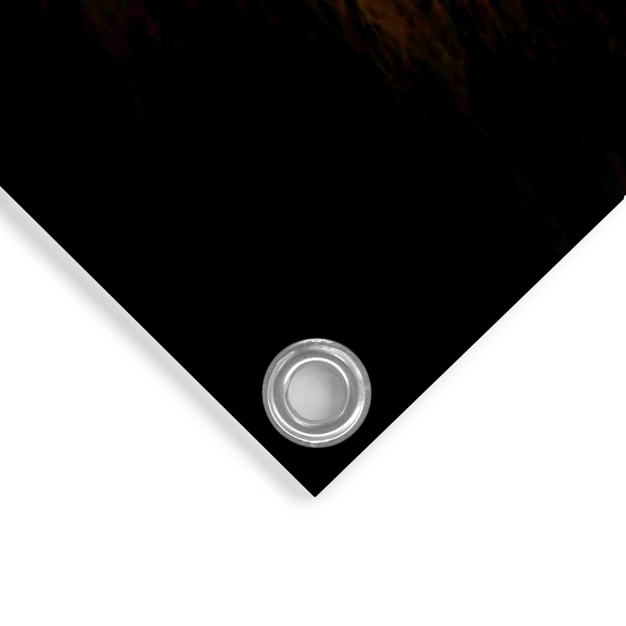 Reinders! Poster »Löwe«