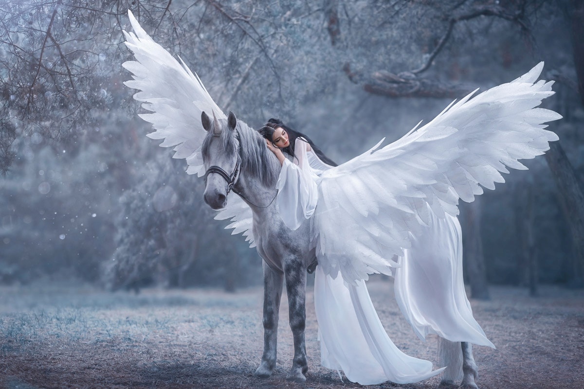 Image of Papermoon Fototapete "Frau auf Pegasus"