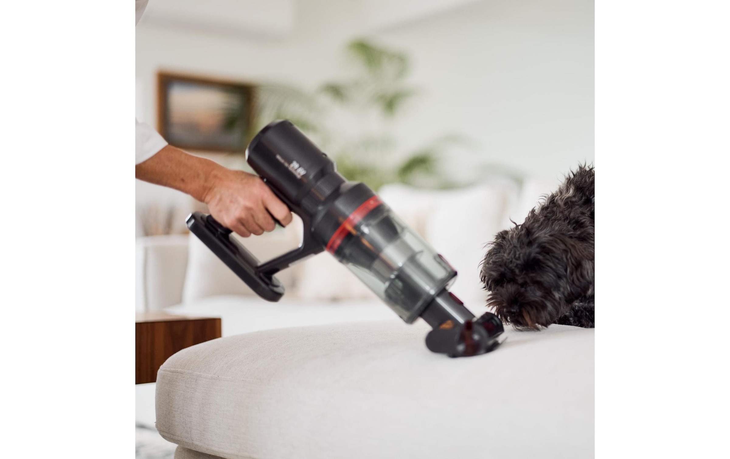   Akku-Hand-und Stielstaubsauger »Ecofort ecoQ CleanVac Pro Animal«