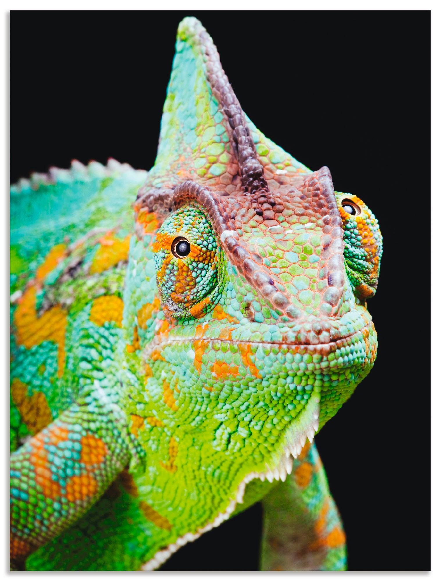 Image of Artland Wandbild »Yemen Chamäleon«, Reptilien, (1 St.), in vielen Grössen & Produktarten - Alubild / Outdoorbild für den Aussenbereich, Leinwandbild, Poster, Wandaufkleber / Wandtattoo auch für Badezimmer geeignet bei Ackermann Versand Schweiz