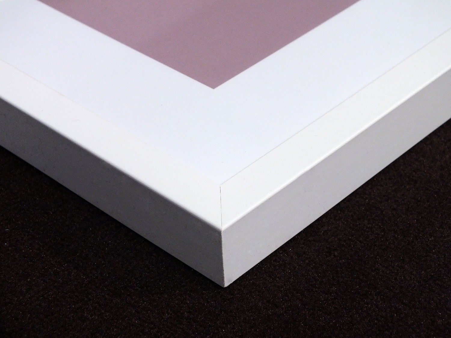 Image of queence Bild "Janne" Federn Kunst Schwarz-Weiss Federn, gerahmt