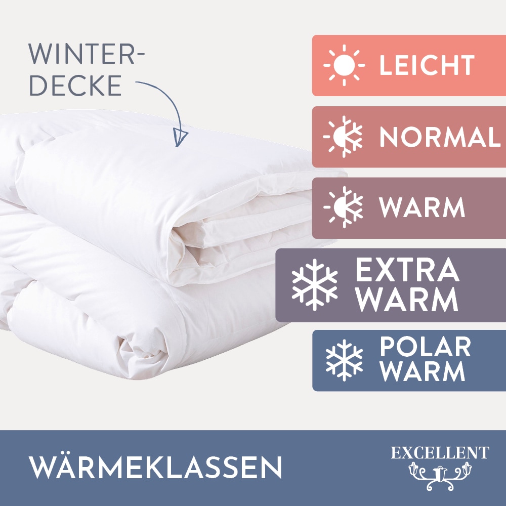 Excellent Daunenbettdecke »Überraschungsbox«, extrawarm, Füllung 90% Daunen, 10% Federn, Bezug Baumwolle, (1 St.), absoluter Sonderpreis, wegen Lagerräumung, Solange der Vorrat reicht
