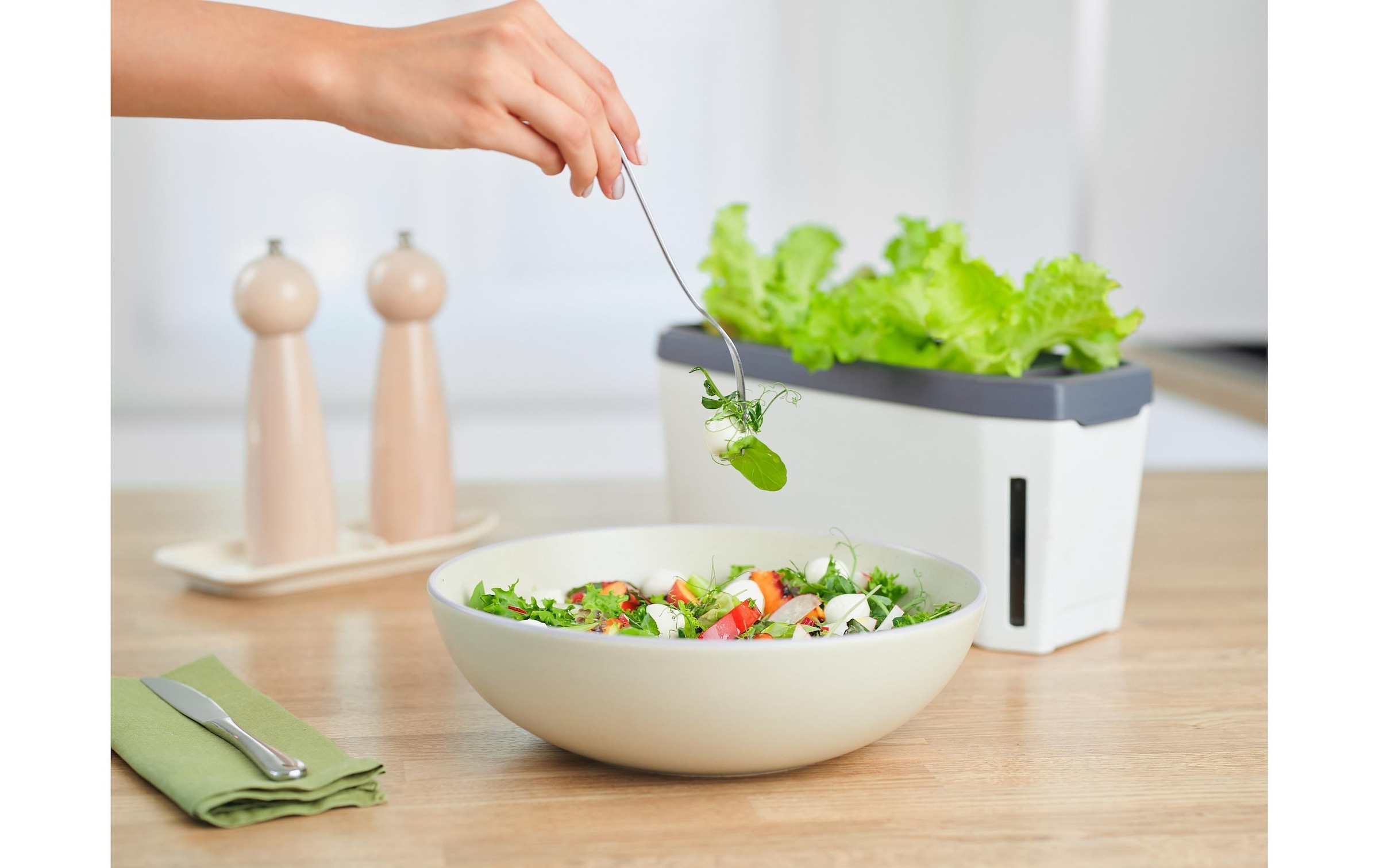 Gusta Garden Kräutertopf »HERBS weiss«