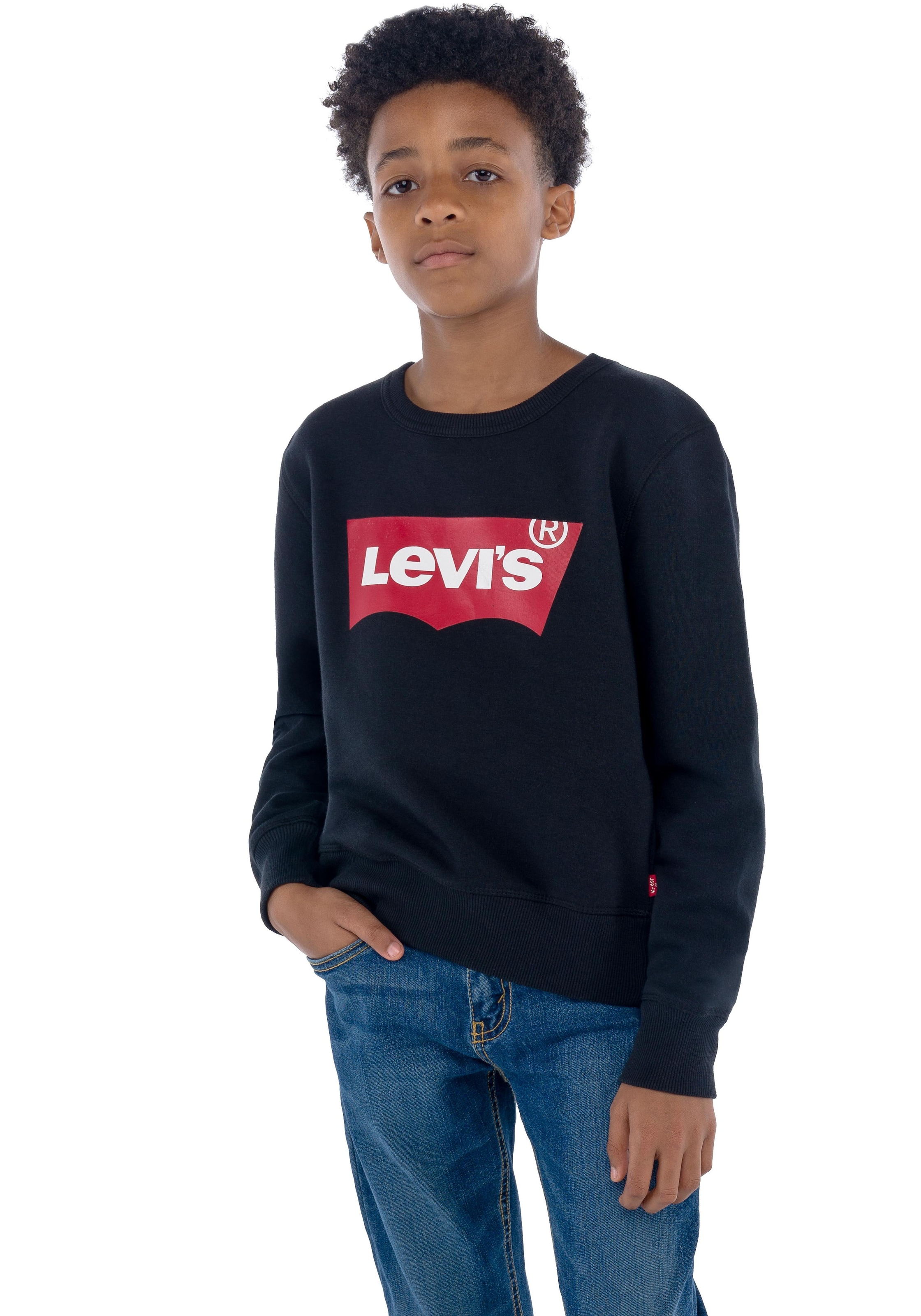 Levi's® Kids Sweatshirt »LVB LVB FRENCH TERRY BATWING«, mit grossem Logo
