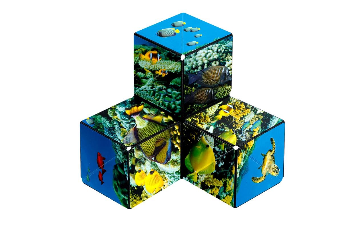 3D-Puzzle »Shashibo Shashibo Cube Undersea«