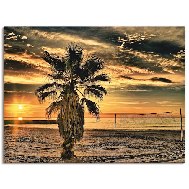 Artland Wandbild »Palme bei Sonnenuntergang«, Sonnenaufgang & -untergang,  (1 St.), als Alubild, Leinwandbild, Wandaufkleber oder Poster in versch.  Grössen maintenant