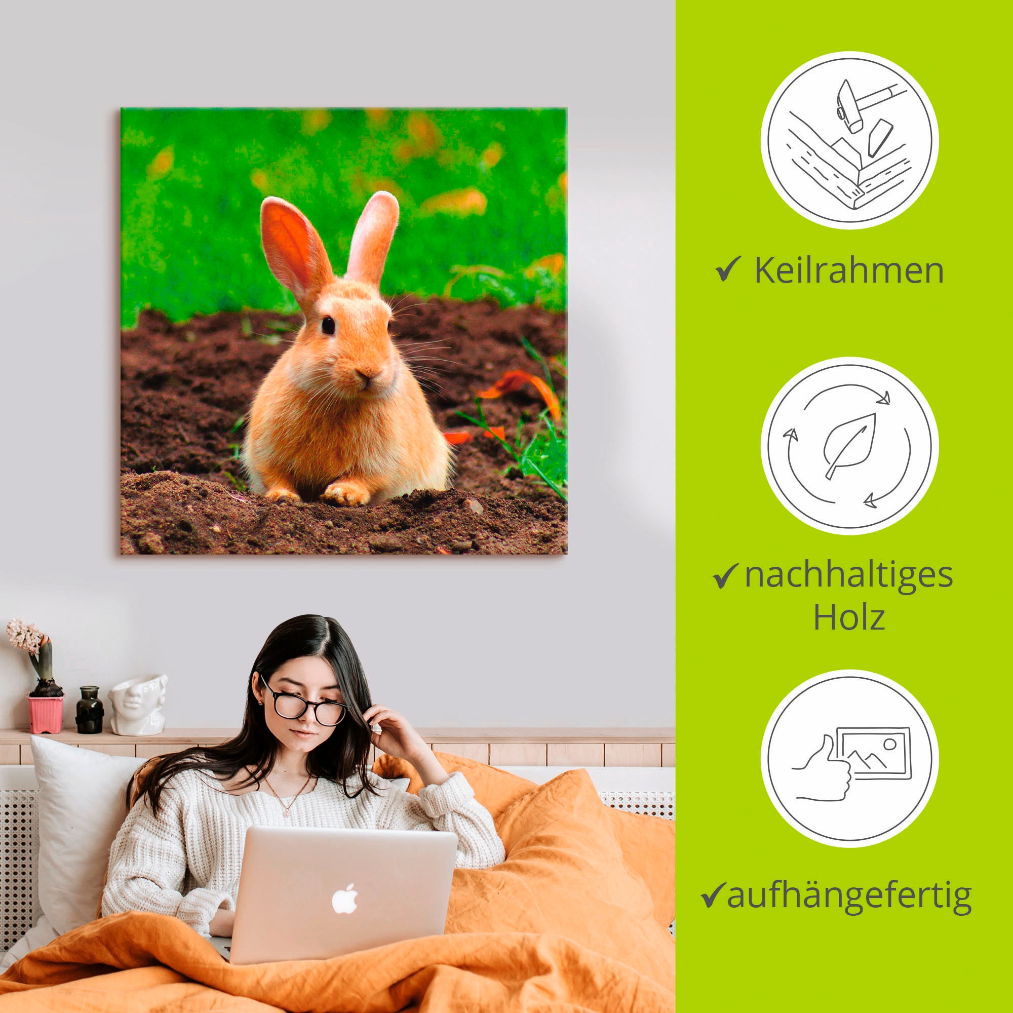 Artland Wandbild »Glückliches Zwergkaninchen«, Wildtiere, (1 St.), als Leinwandbild, Wandaufkleber in verschied. Grössen