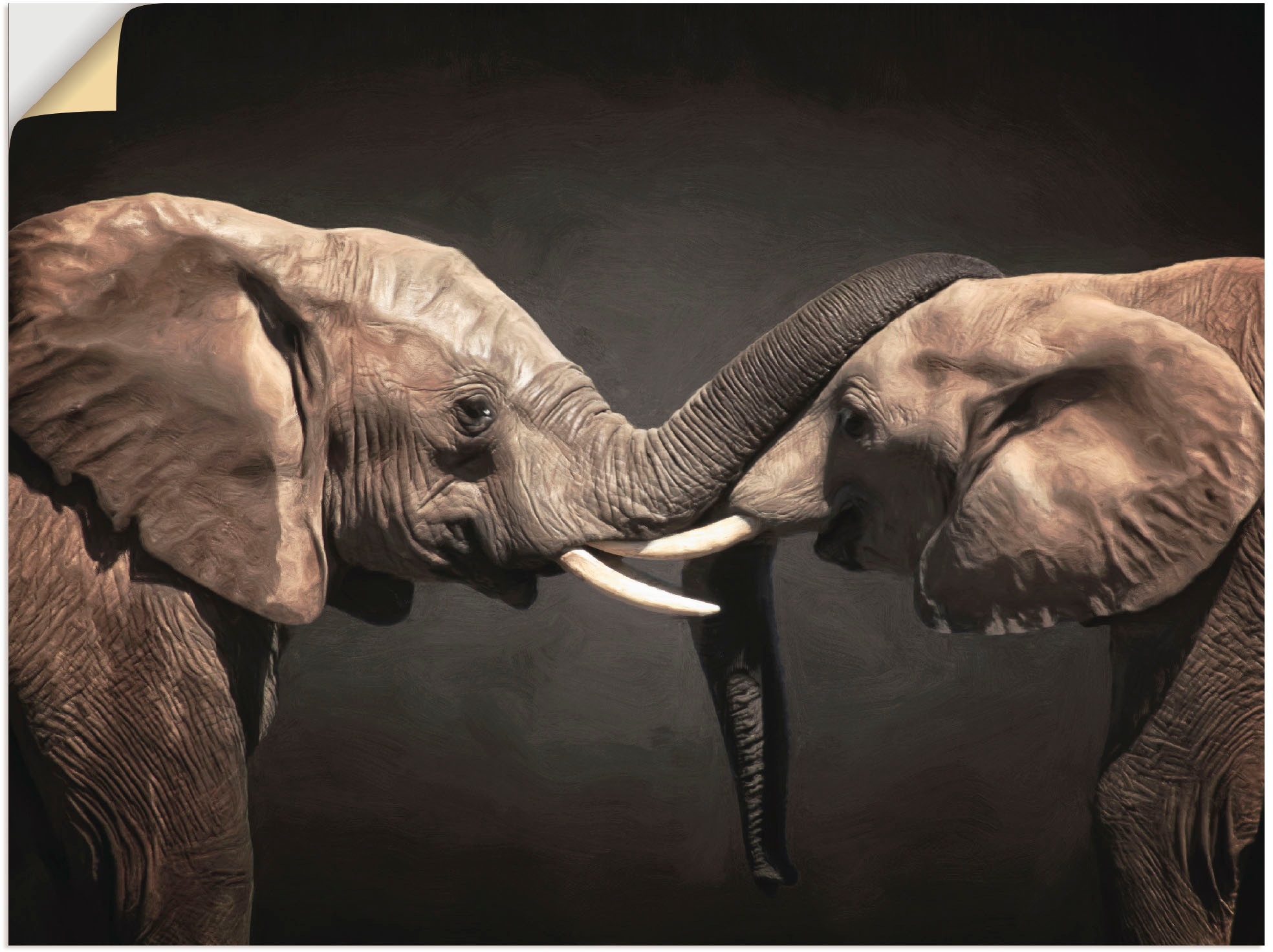 als kaufen bequem Wandaufkleber St.), versch. »Zwei Leinwandbild, Wildtiere, Artland (1 oder Poster Grössen Wandbild in Elefanten«,