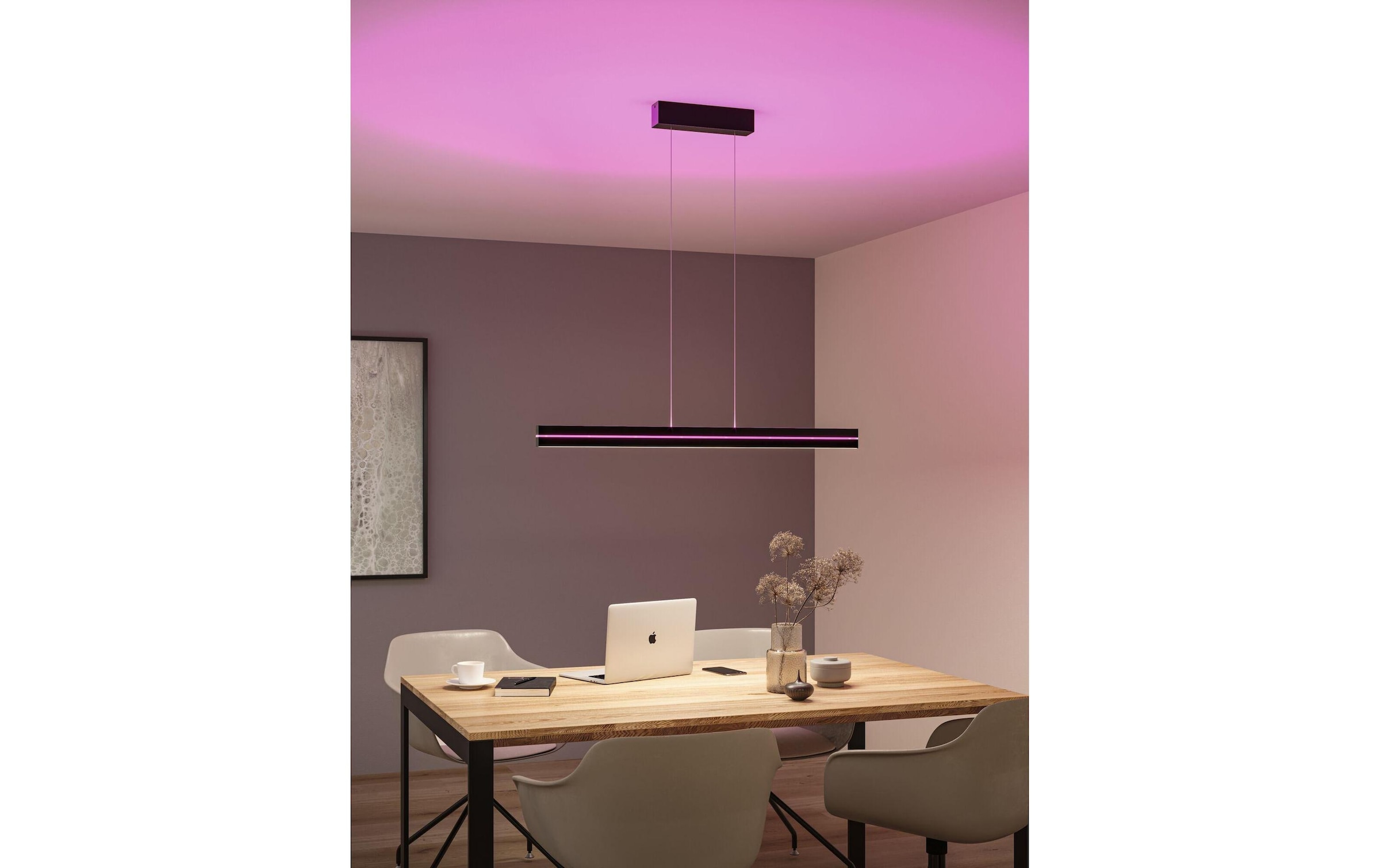 Paulmann Pendelleuchte »LED Pendelleuchte Raiko« LED-Modul RGB | warmweiss - kaltweiss
