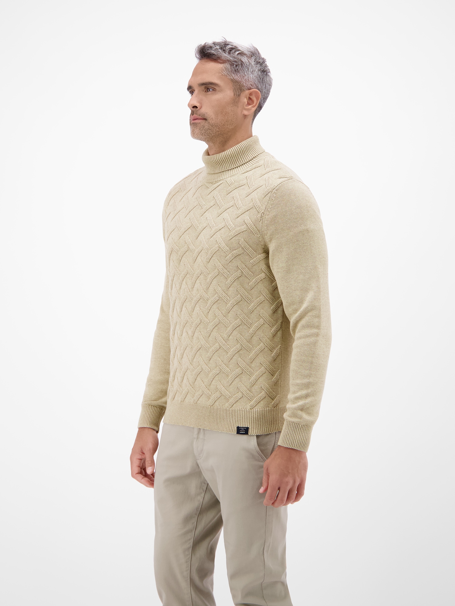 LERROS Pull à col roulé »Stylischer Rollkragenpullover - modisch gemustert«