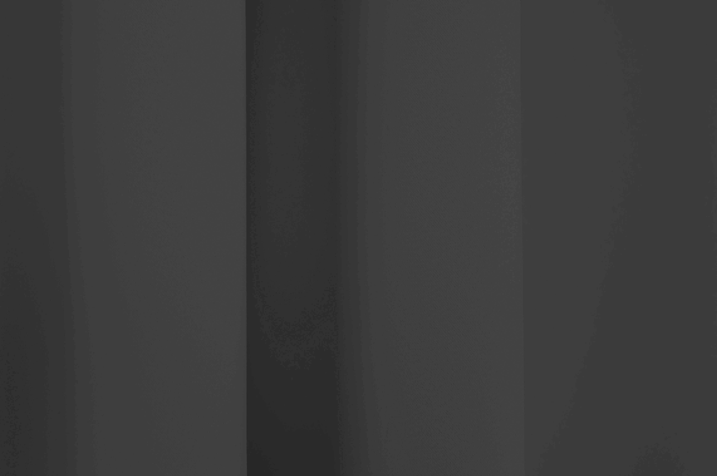 Wirth Vorhang »Dim out« Kräuselband 1 Stk. tlg. nach Mass