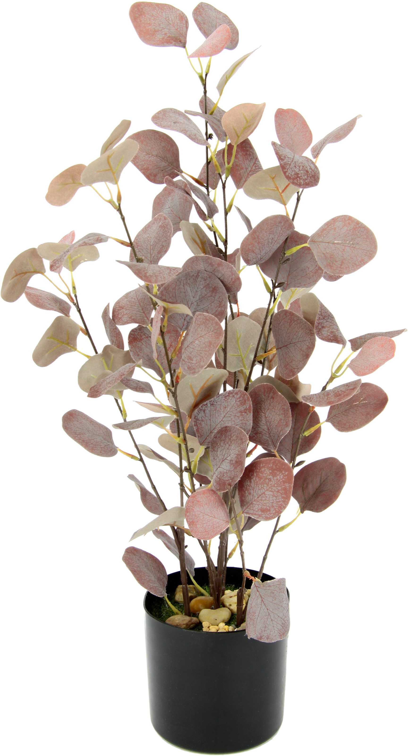 Image of I.GE.A. Kunstpflanze »Eukalyptus«, Im Topf, mit Natursteinchen bei Ackermann Versand Schweiz