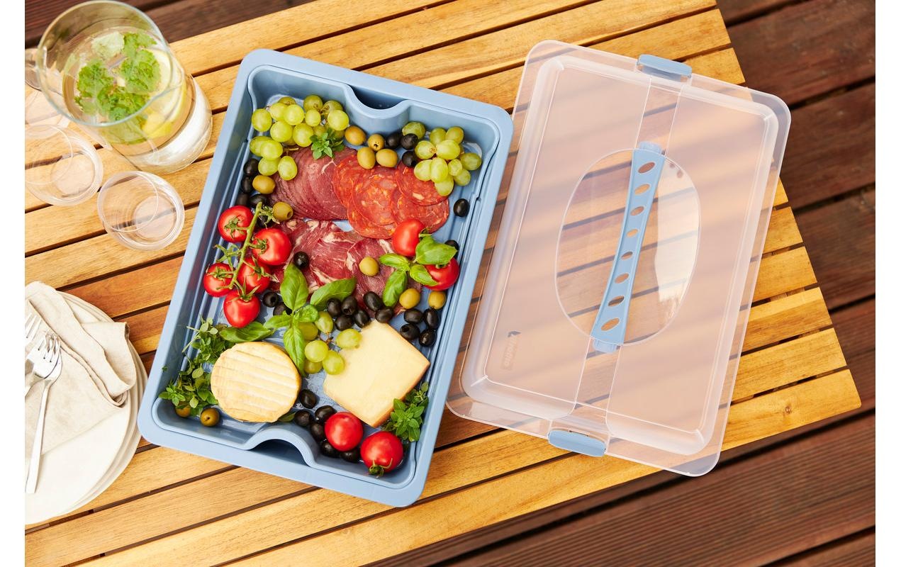 ROTHO Tortenplatte »Cool & Fresh Blau/Transparent«