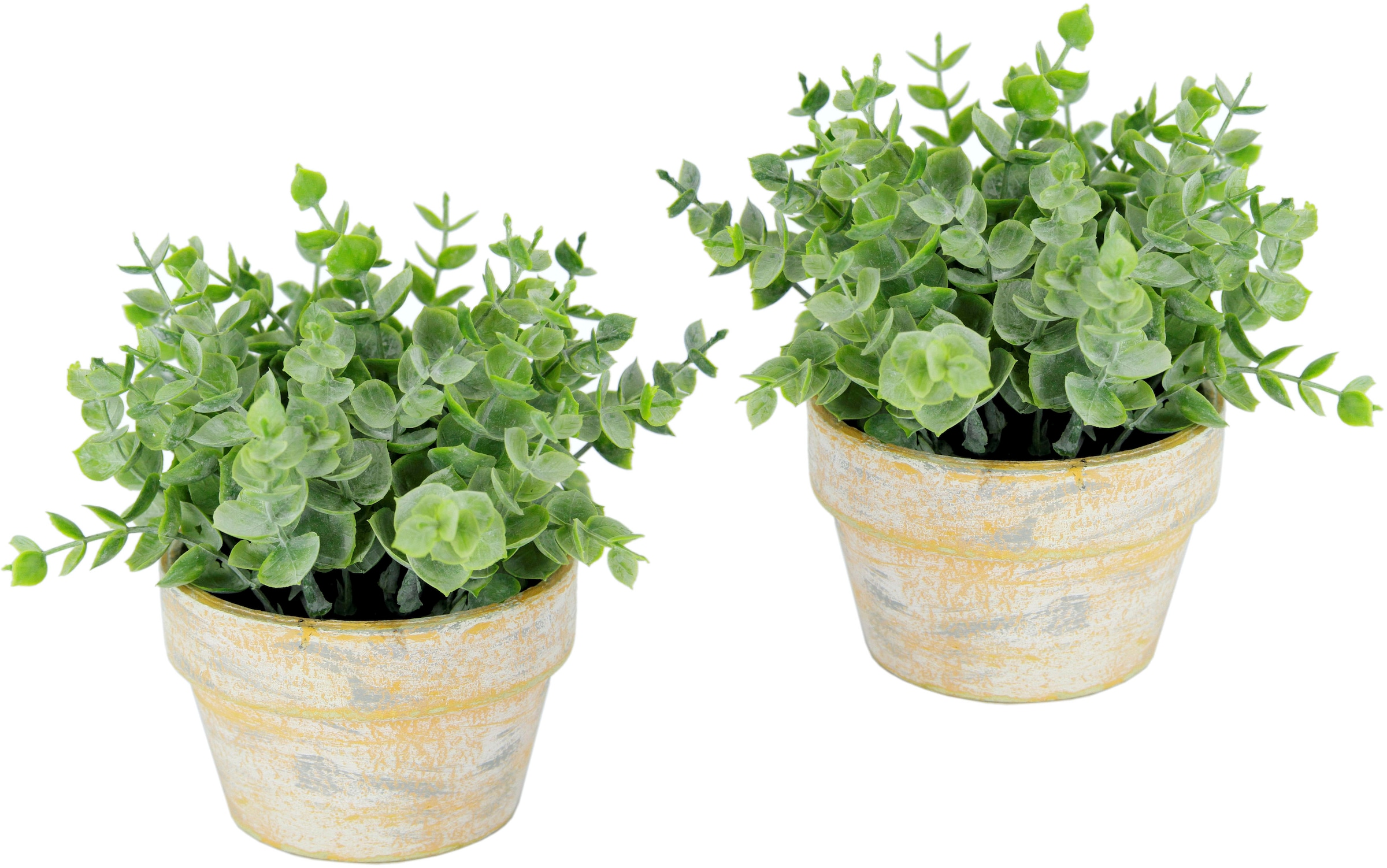 I.GE.A. Kunstpflanze »Künstlicher Eukalyptus im Topf 2er Set Pflanze«, Deko Blume für Hochzeit Plastikpflanze Kräuter Deko-Kräuter