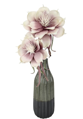I.GE.A. Kunstblume »Magnolie«, (1 St.), In Keramikvase kaufen