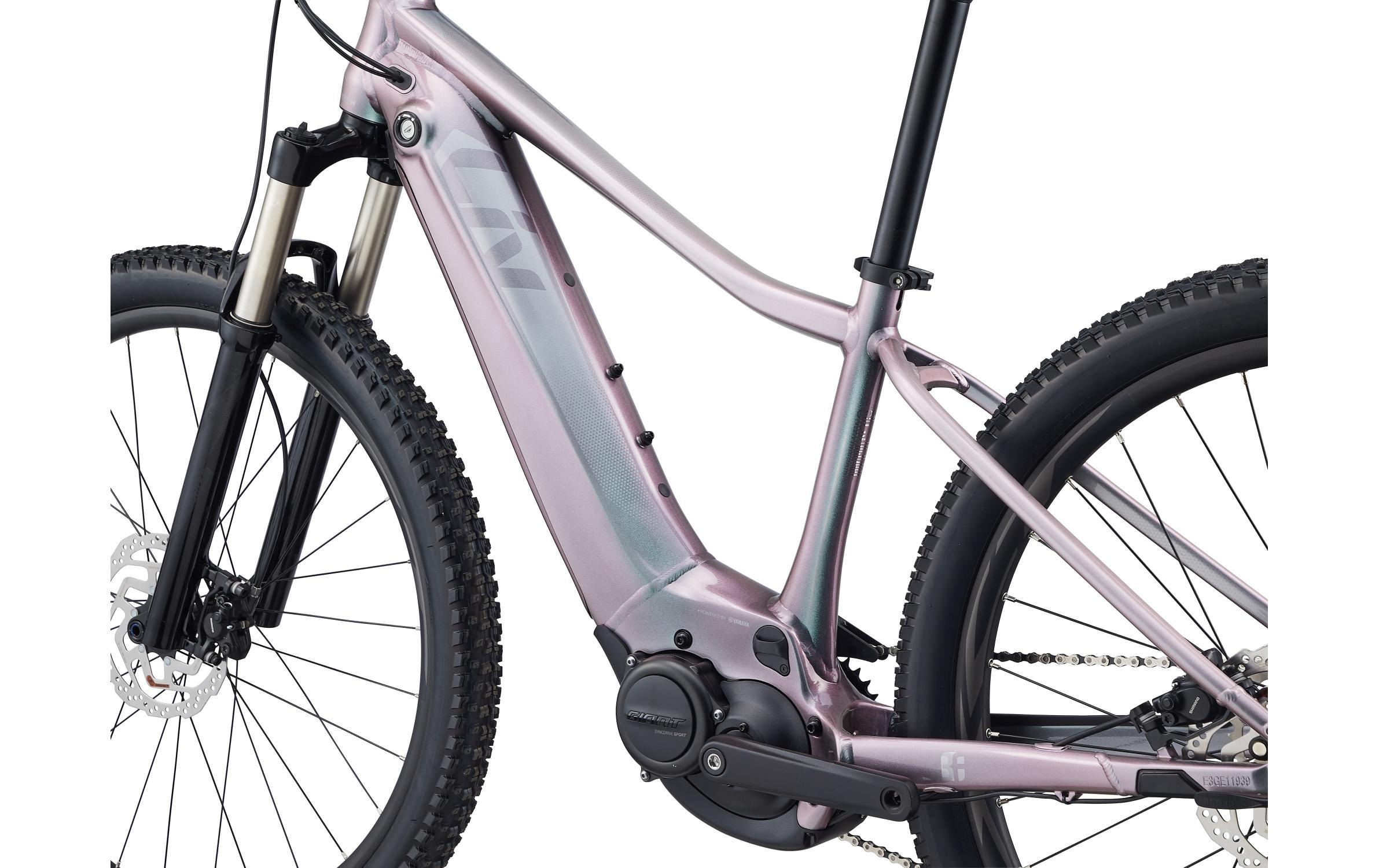 E-Bike »Liv Vall-E+ 2 Echeveria, M«, Mittelmotor 250 W