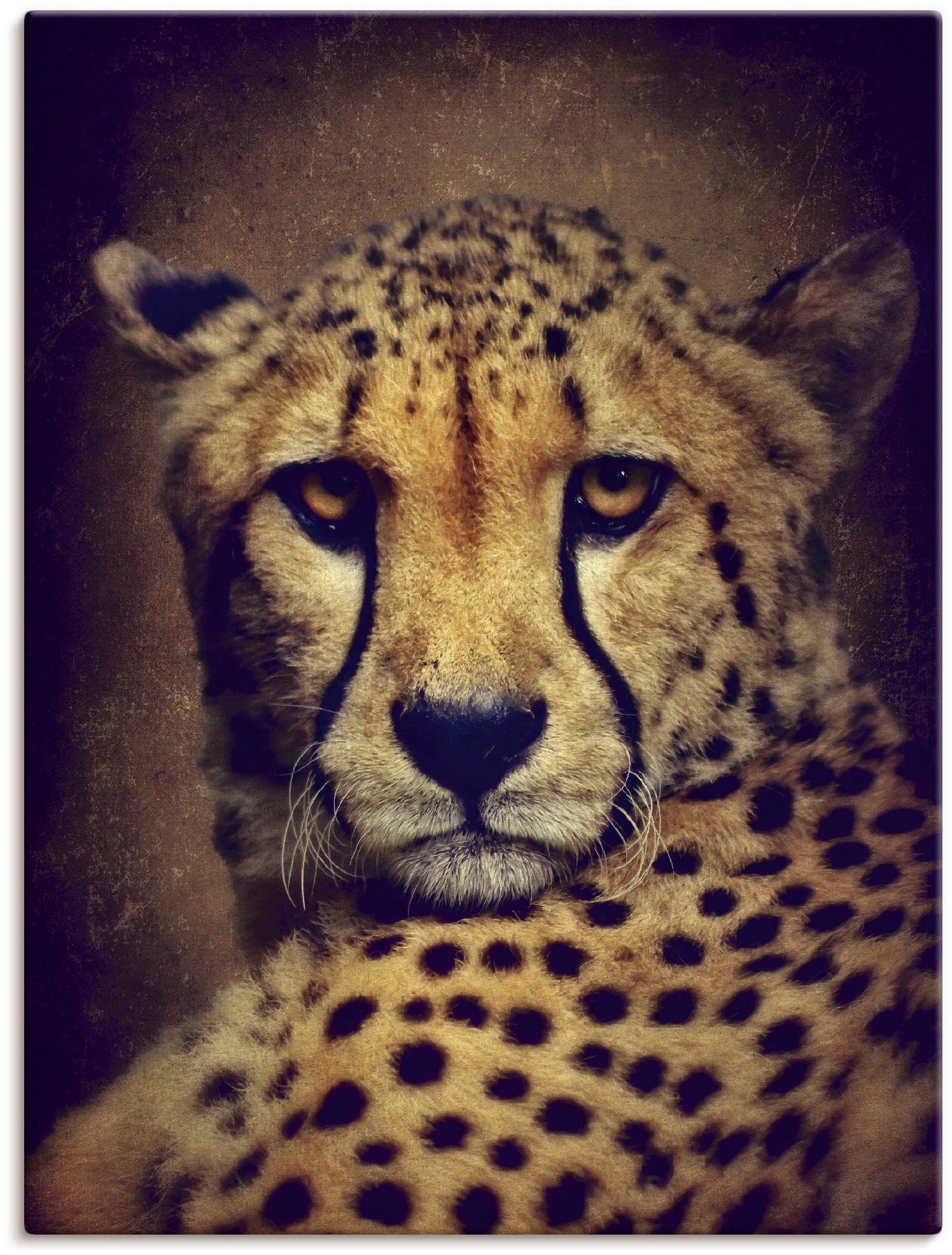 Image of Artland Leinwandbild "Gepard" Wildtiere 1 Stk. tlg. auf Holzrahmen gespannt