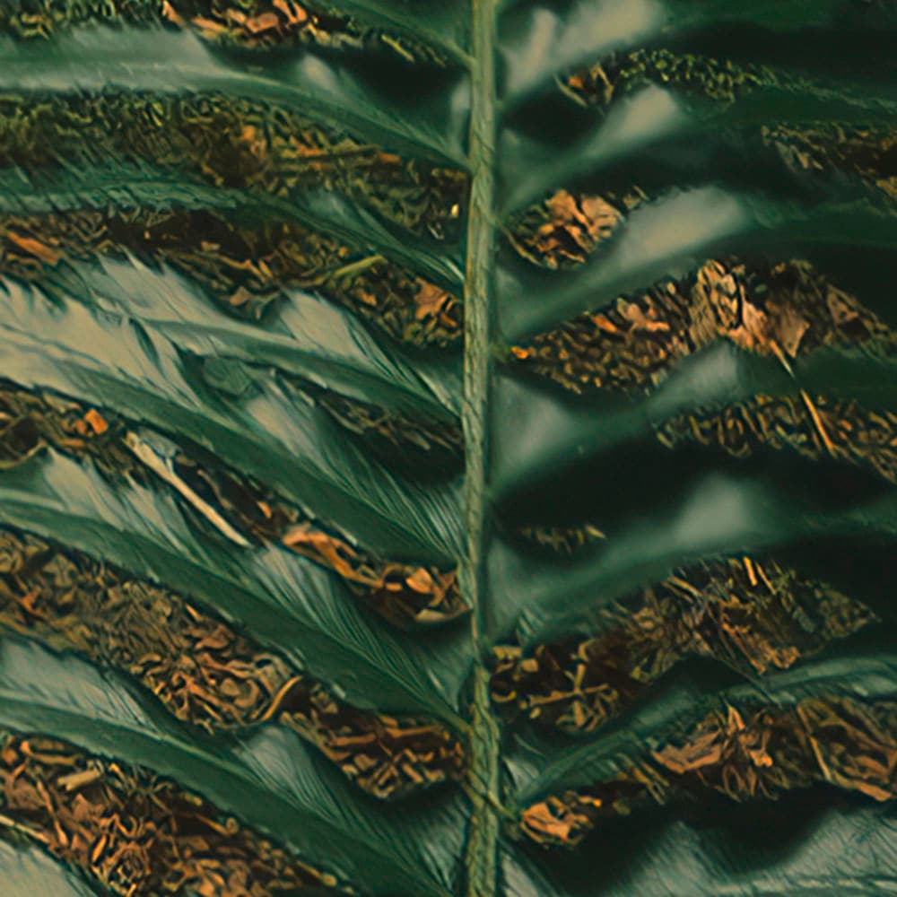Komar Fototapete »Digitaldruck Vlies -  Hall of Mosses - Grösse 400 x 250 cm« bedruckt glatt Wohnzimmer, Schlafzimmer