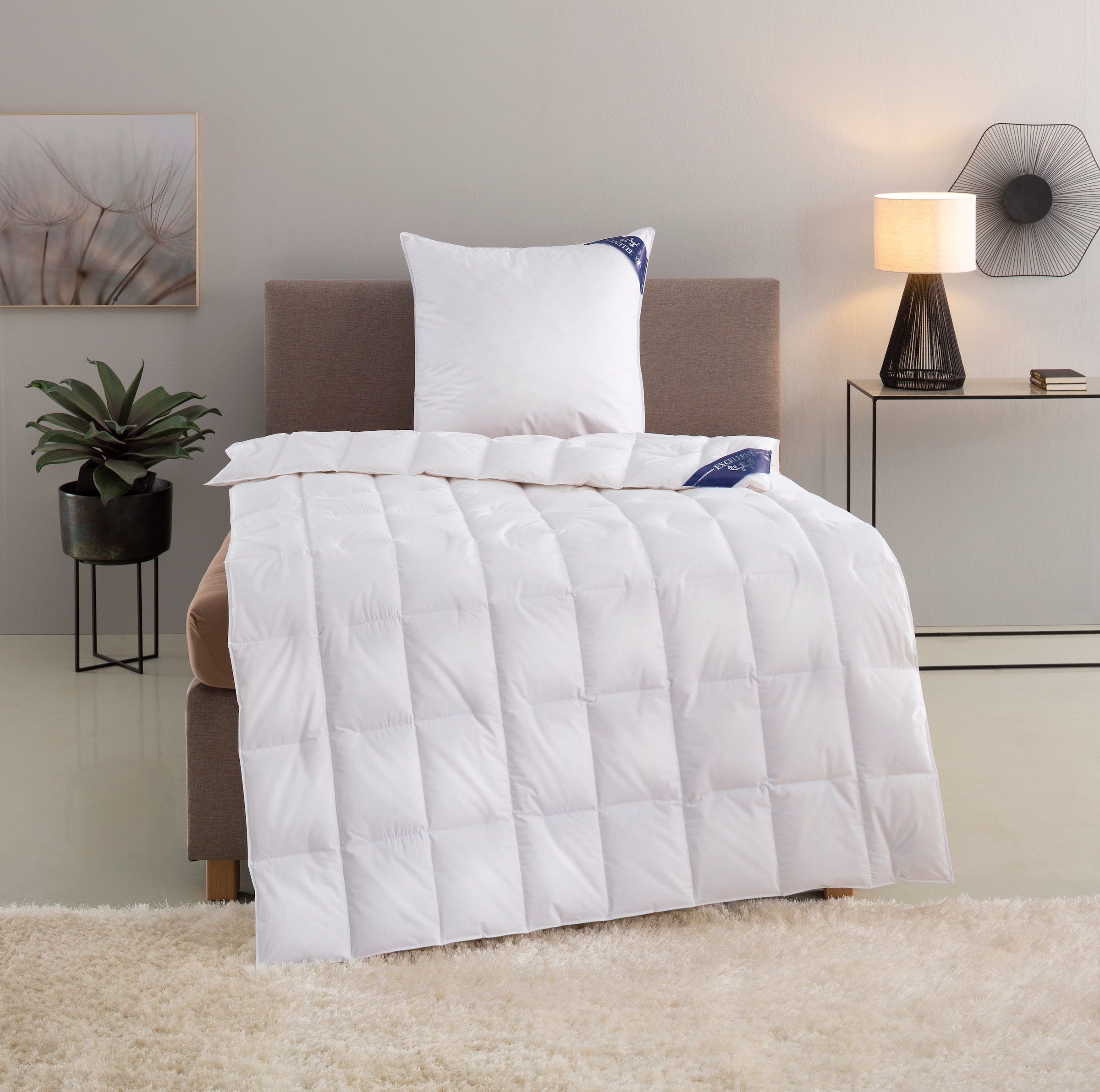 Excellent Couette en duvet + oreiller à 3 compartiments »Bettdecken-Set  Zürich, Bettdecke 135x200 & 155x220 cm« Bettdecke 100% Daunen für Winter, Sommer, Kissen mit 90% Daunen