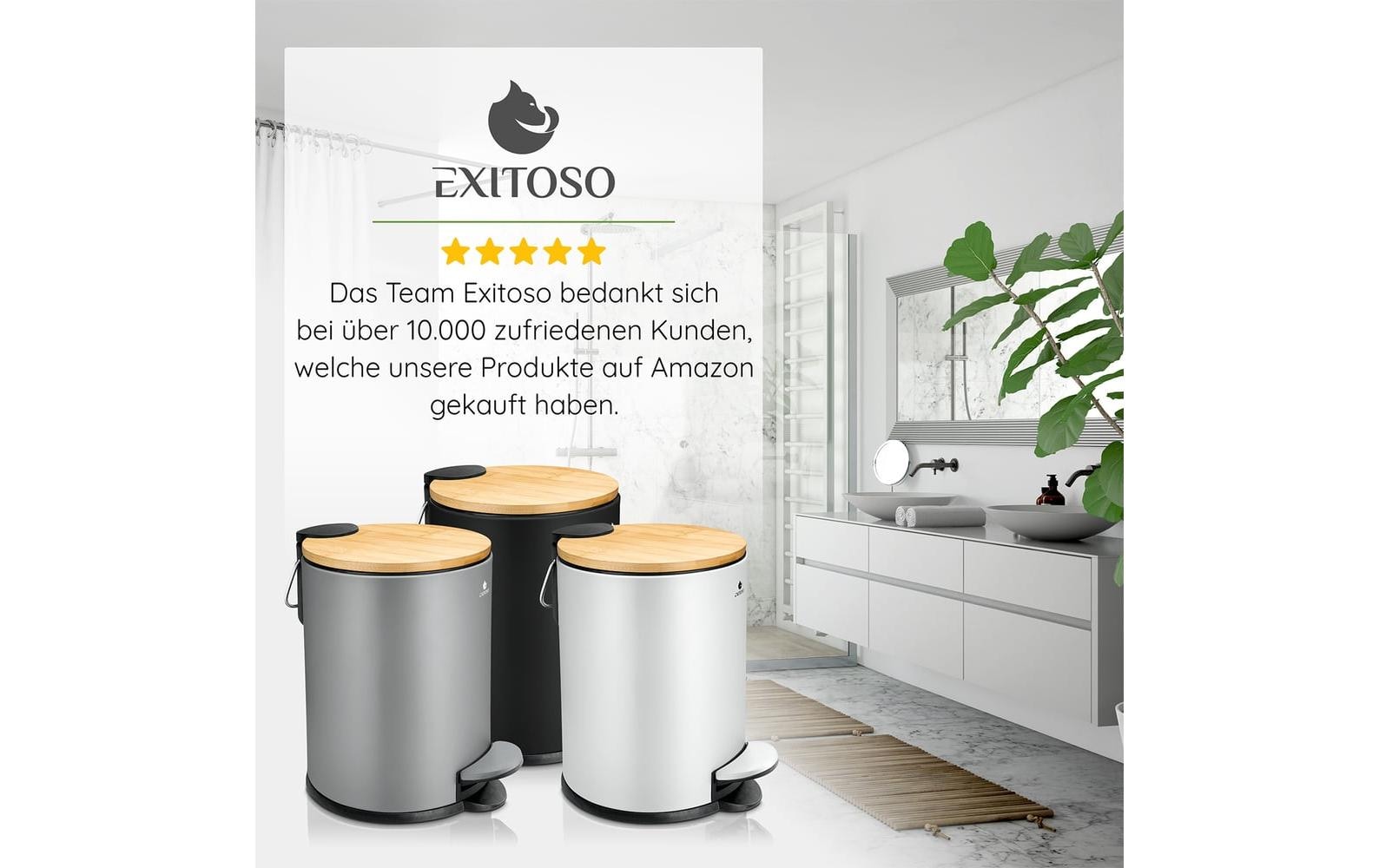   Mülleimer »Exitoso mit Softclose-Deckel 3 l«