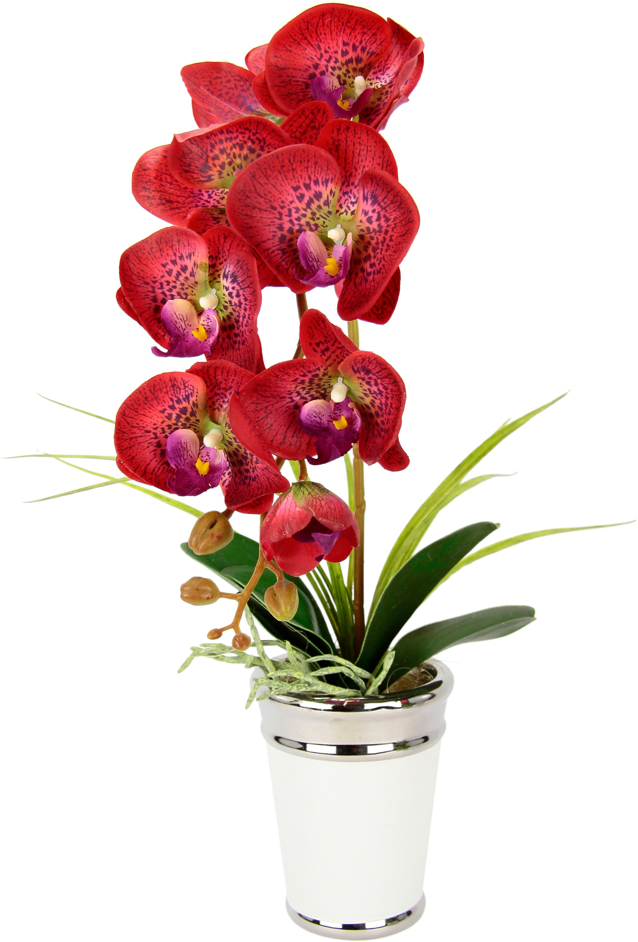 I.GE.A. Kunstblume Topf, günstig Seidenblume Keramik, »Orchidee«, Touch kaufen im Real aus