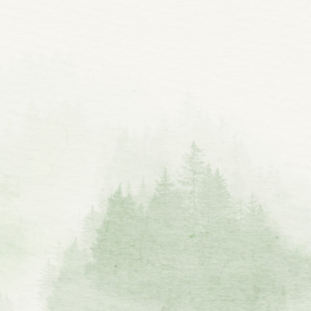 Komar Fototapete »Vlies Fototapete - Blurry Woods - Grösse 350 x 250 cm« Motiv | bedruckt glatt