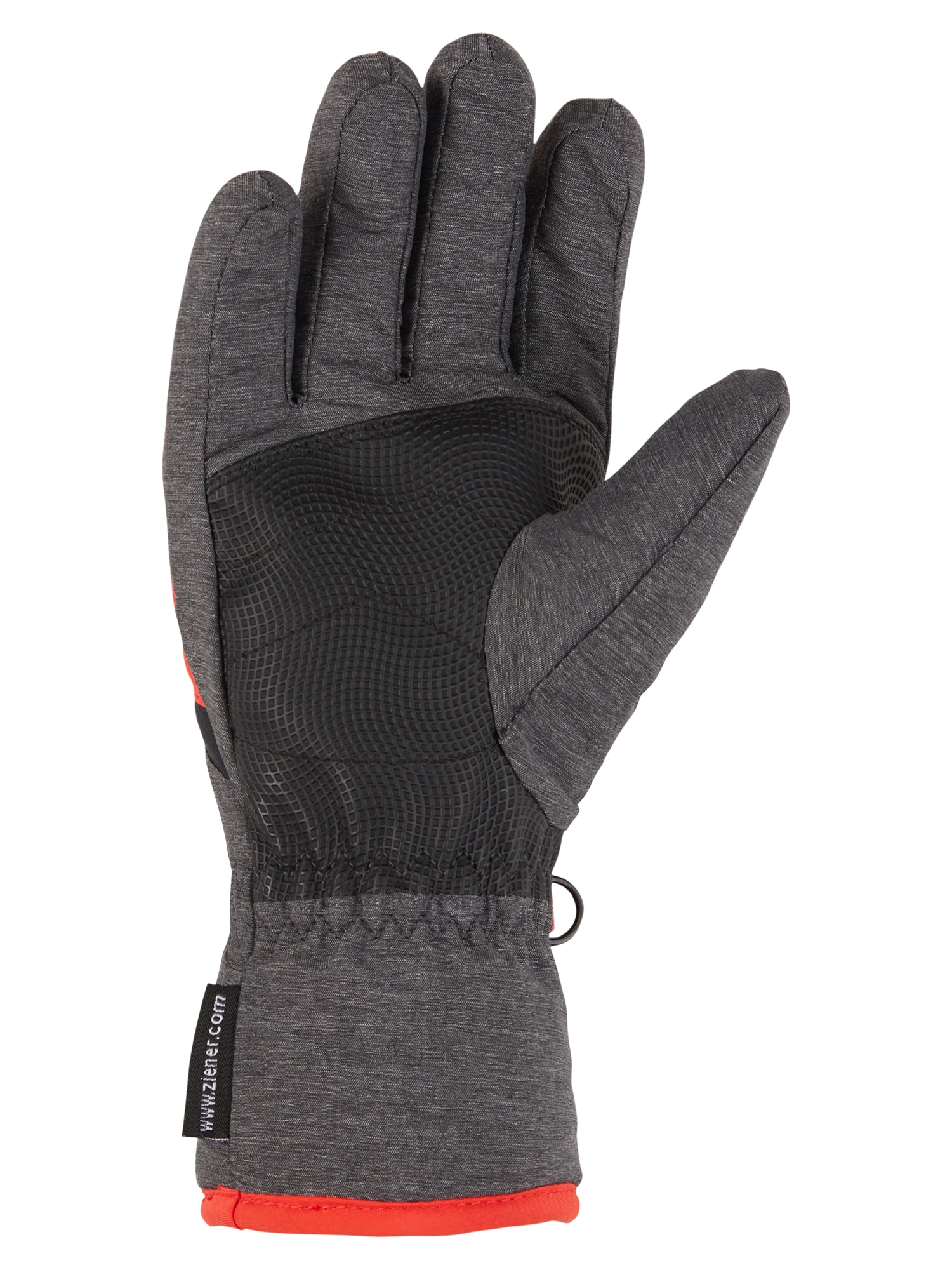 Ziener Skihandschuhe »LEJANO AS(R)«