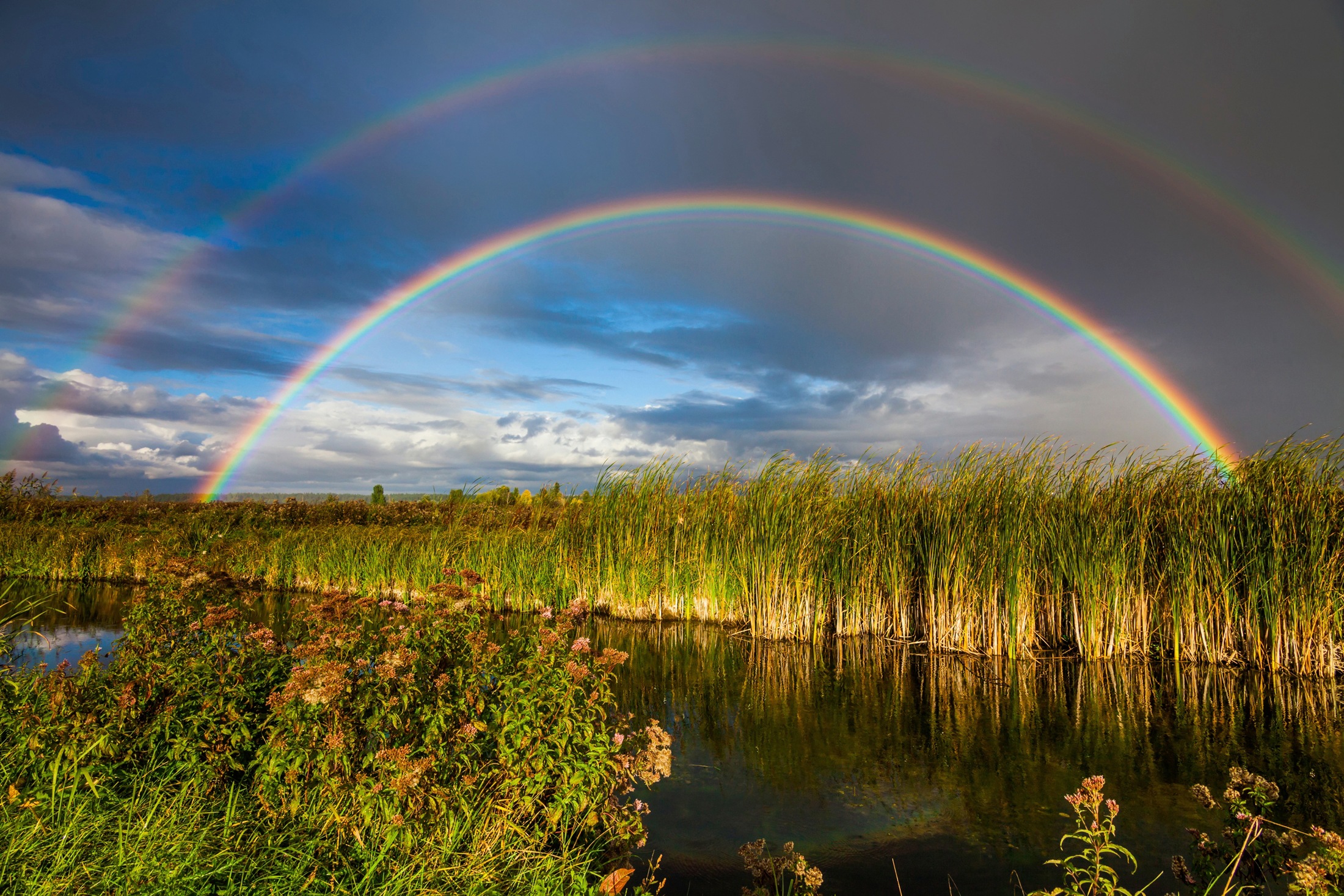 Image of Papermoon Fototapete "REGENBOGEN ÜBER FLUSS-LANDSCHAFT NATUR HIMMEL WOLKEN"