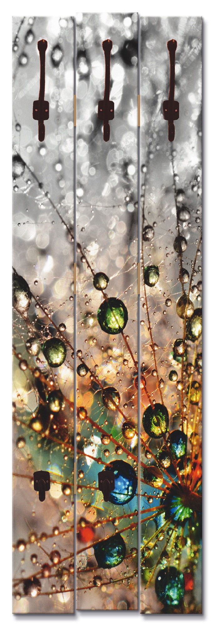 Image of Artland Garderobenleiste »Farbenfrohe Natur«, platzsparende Wandgarderobe aus Holz mit 5 Haken, geeignet für kleinen, schmalen Flur, Flurgarderobe bei Ackermann Versand Schweiz