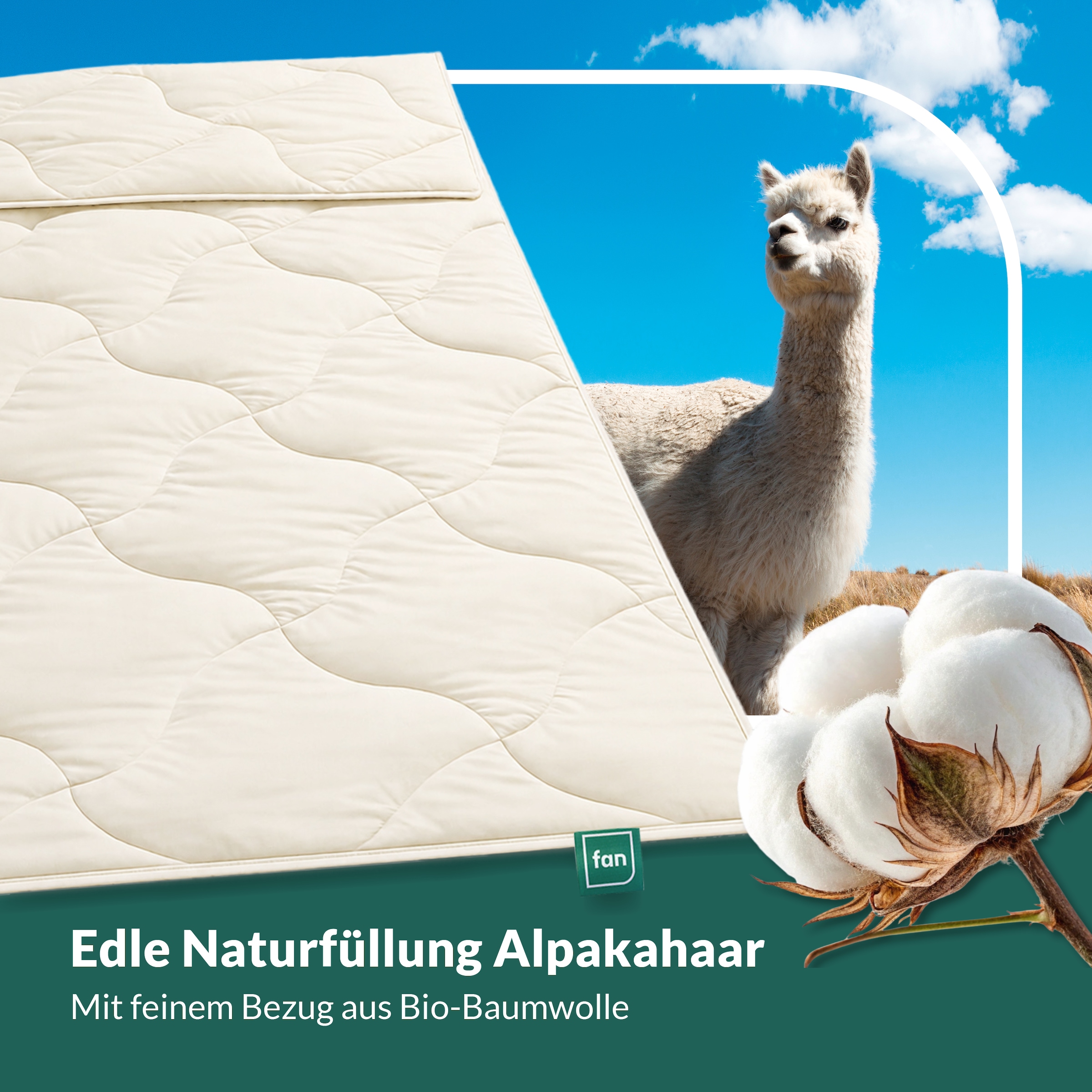 fan Naturhaarbettdecke »Baby Alpaka, Bettdecke in 135x200 und weiteren Grössen erhältlich« normal Füllung 97% Alpaka & 3% sonstige Faser 1 Stk. tlg. Bettdecke aus Naturhaar hergestellt in Deutschland