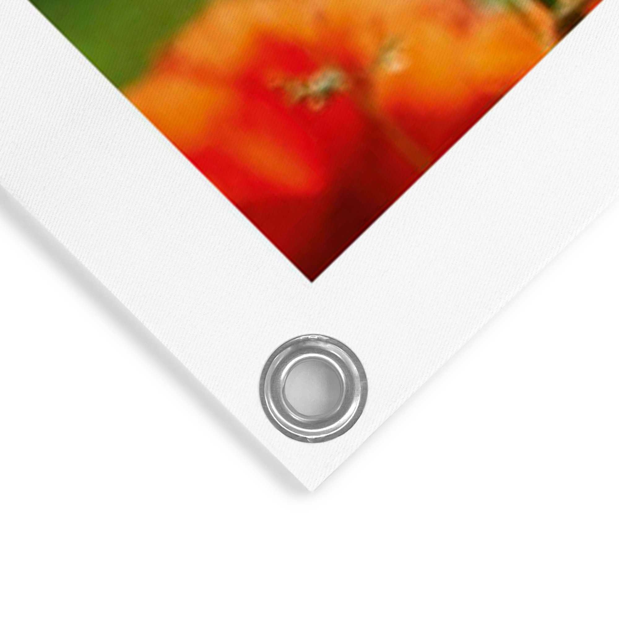 Reinders! Poster »Mohnblumen«, Outdoor für Garten oder Balkon