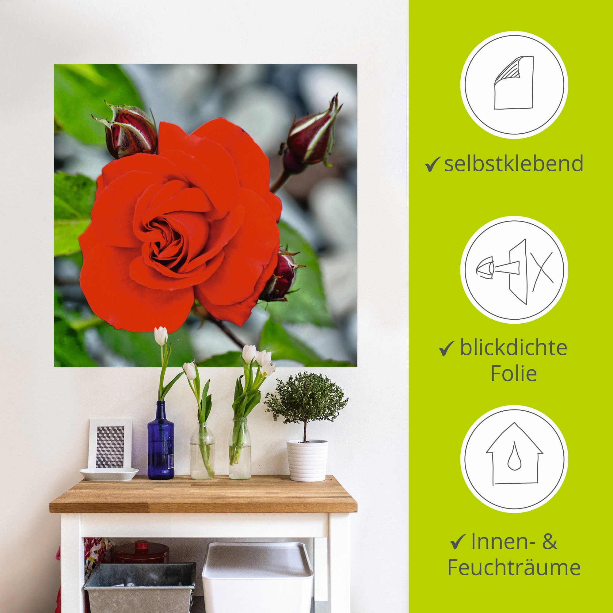 Artland Wandbild »Rote Rosenblüte mit Knospen«, Blumen, (1 St.), als Leinwandbild, Wandaufkleber in verschied. Grössen