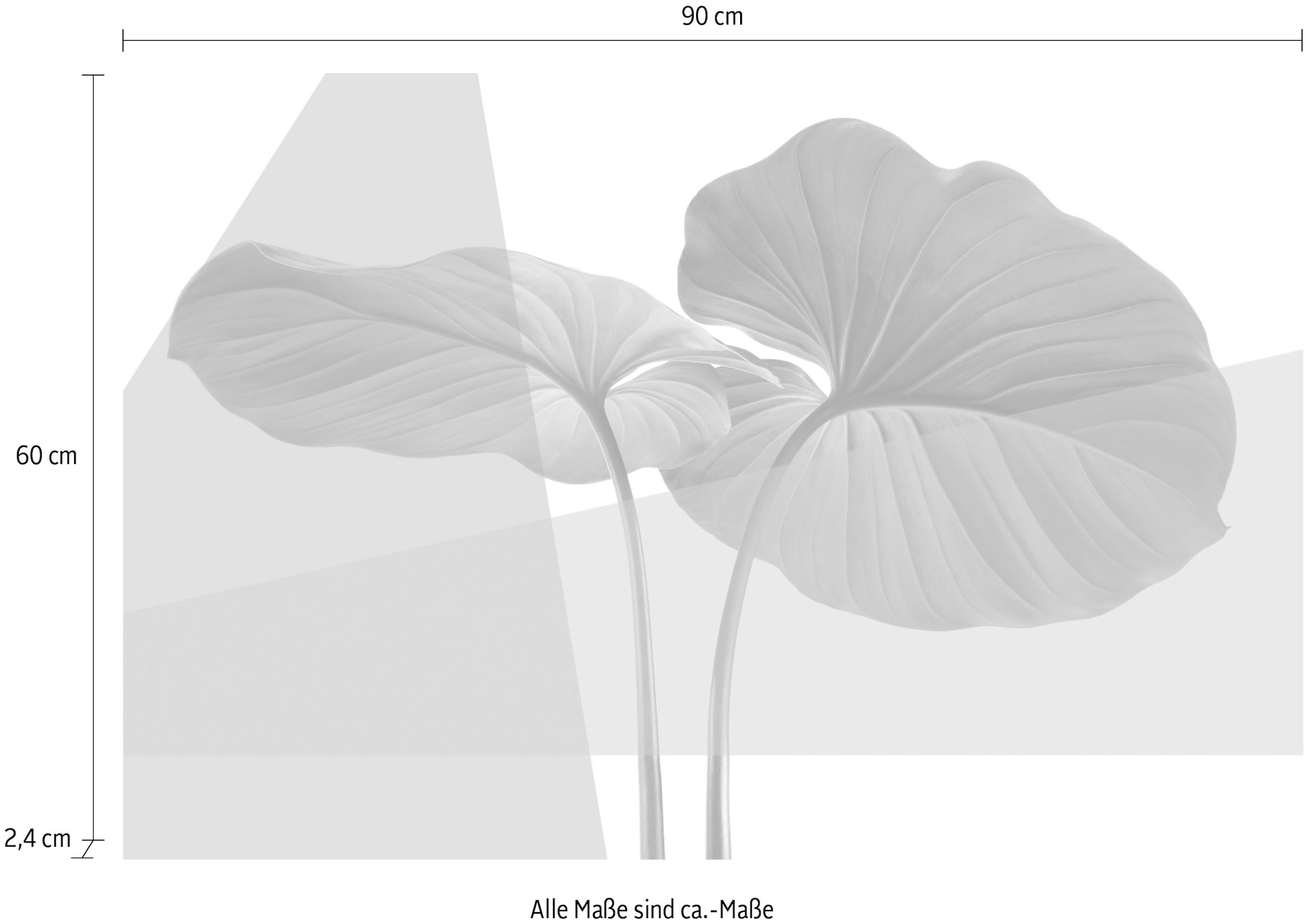 queence Acrylglasbild »Blätter« Blätter | Blätterbilder | Kunst | Pflanzen | Pflanzenbilder Fine Art-Print in Galeriequalität