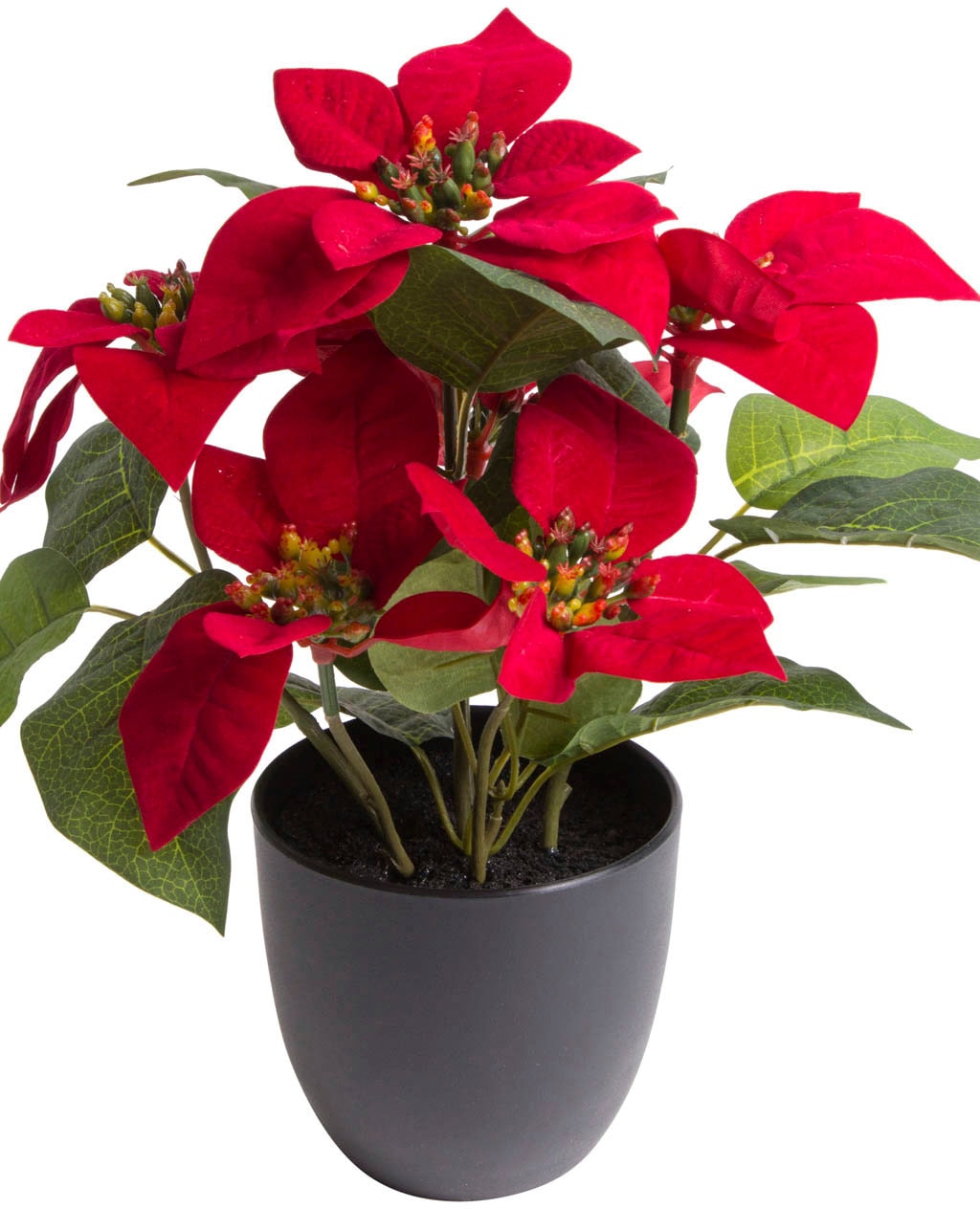 Kunstpflanze roter Weihnachtsstern