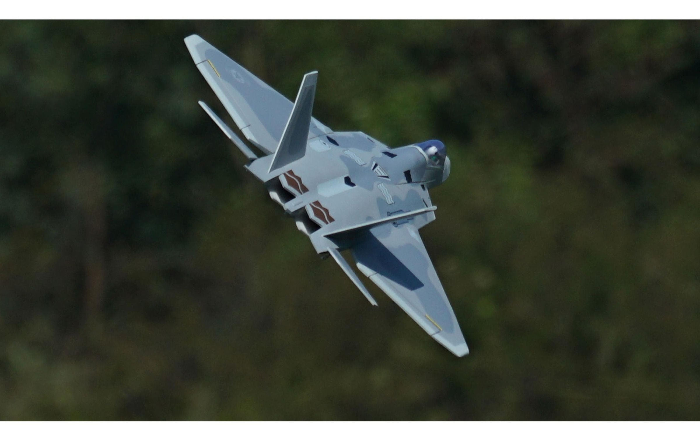 Amewi RC-Flugzeug »XFly F-22 Raptor, 40 mm Twin EDF, PNP«